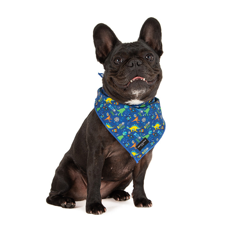 dog wearing dinosaur dog bandana
