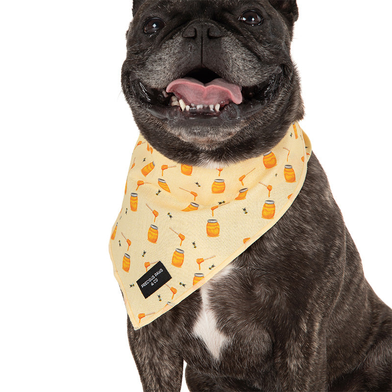 dog wearing dog bandana with bees