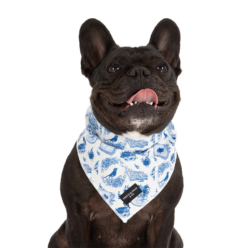 dog wearing dog bandana with bluebirds