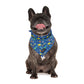 dog wearing dog bandana with dinosaurs