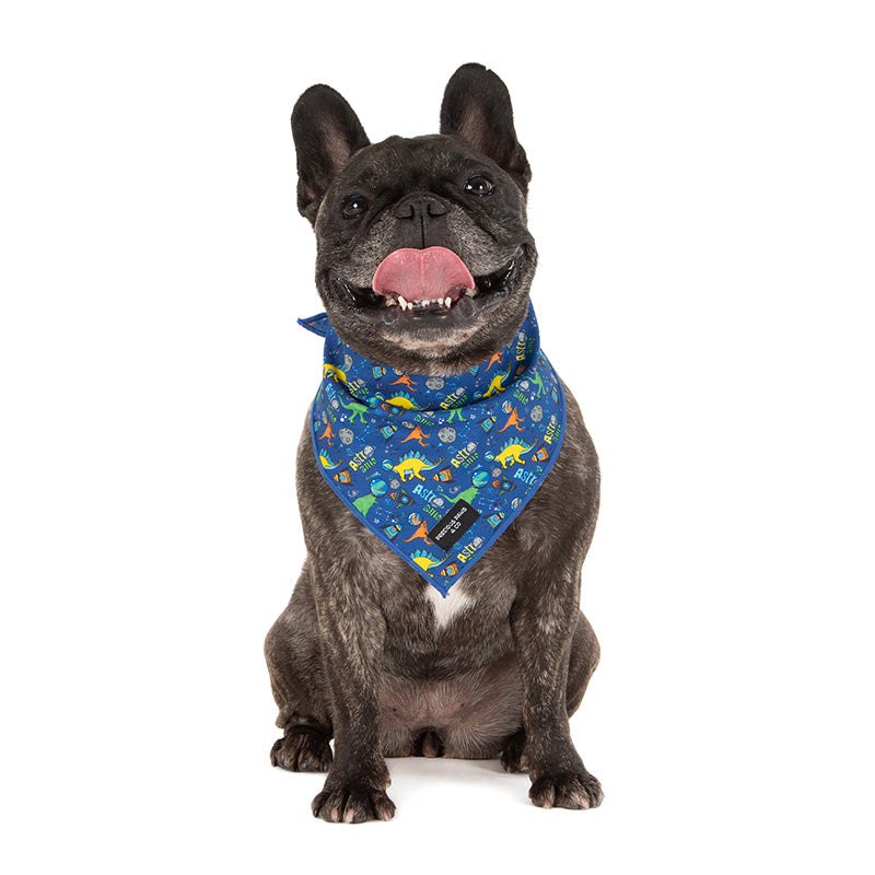 dog wearing dog bandana with dinosaurs