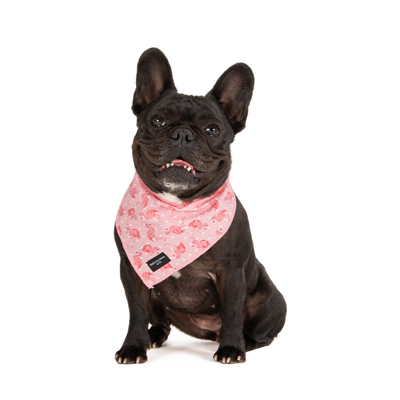 dog wearing dog bandana with pink flamingos