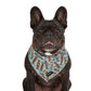 dog wearing dog bandana with skateboards