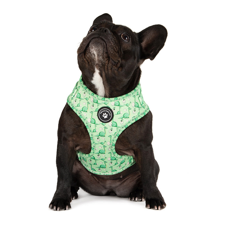 Puppies accessories online shop