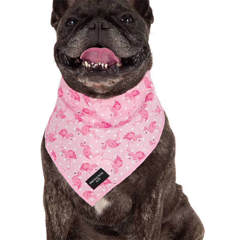 dog wearing pink dog bandana with pink flamingos