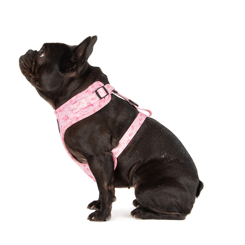 dog wearing pink flamingo dog harness
