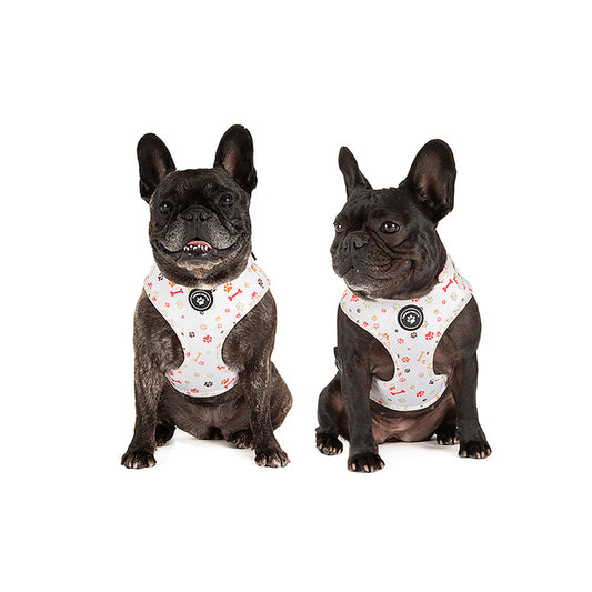 dogs in paw print dog harness
