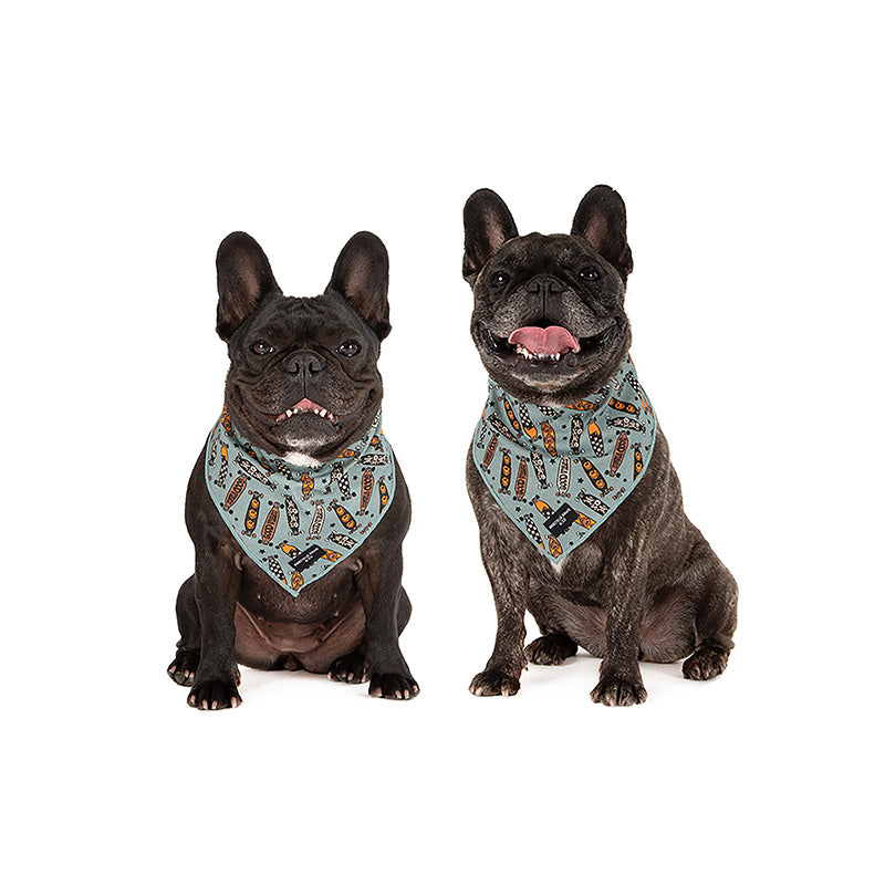dogs wearing blue bandana with skateboards