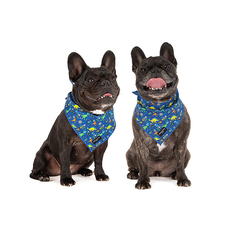 dogs wearing dog bandanas with dinosaurs