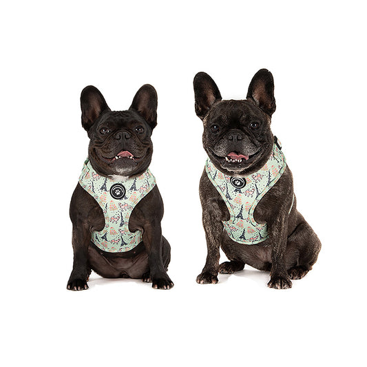 dogs wearing dog harnesses with eiffel towers