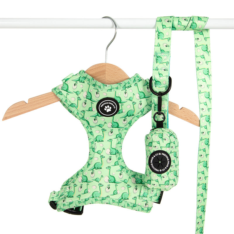 green dinosaur dog harness set