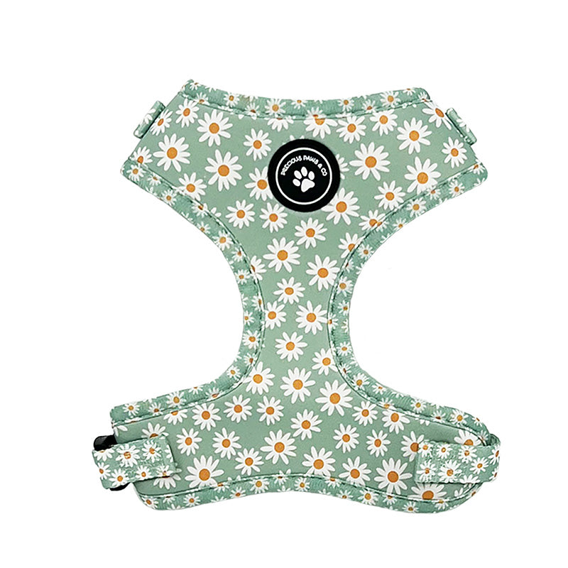 green dog harness with daisies