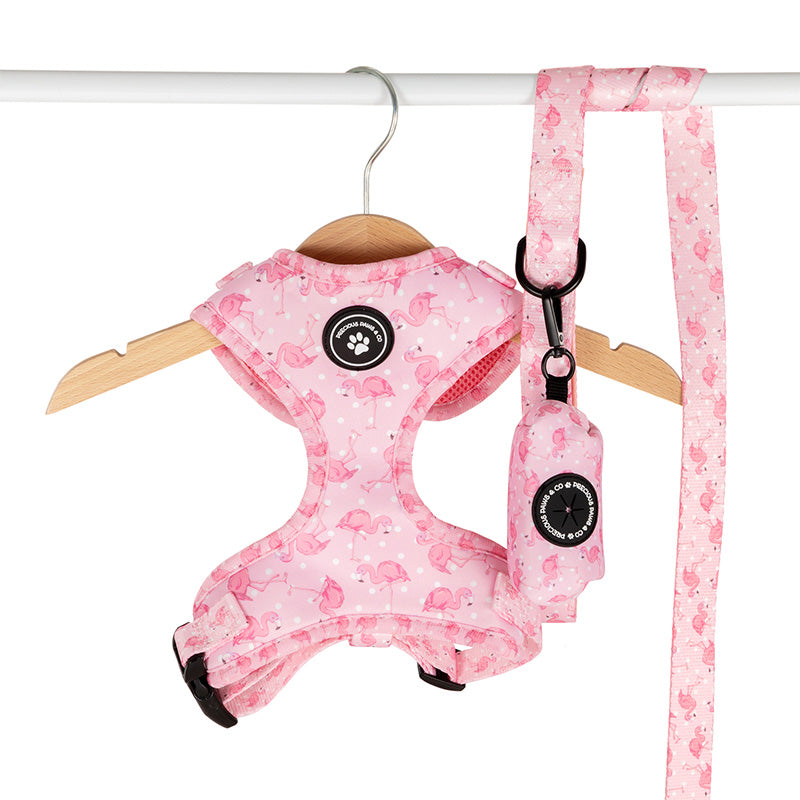 pink dog harness and lead set with pink flamingos