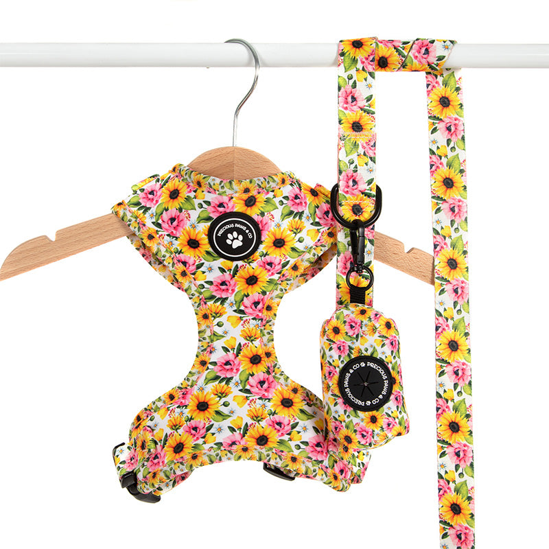 sunflower dog harness and lead set